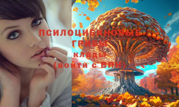 не бодяженный Дмитров