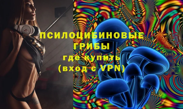 дживик Осташков