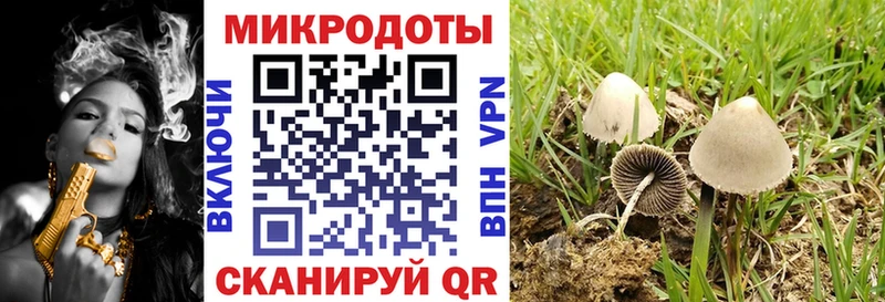 kraken зеркало  Моздок  Галлюциногенные грибы Psilocybe  наркотики 