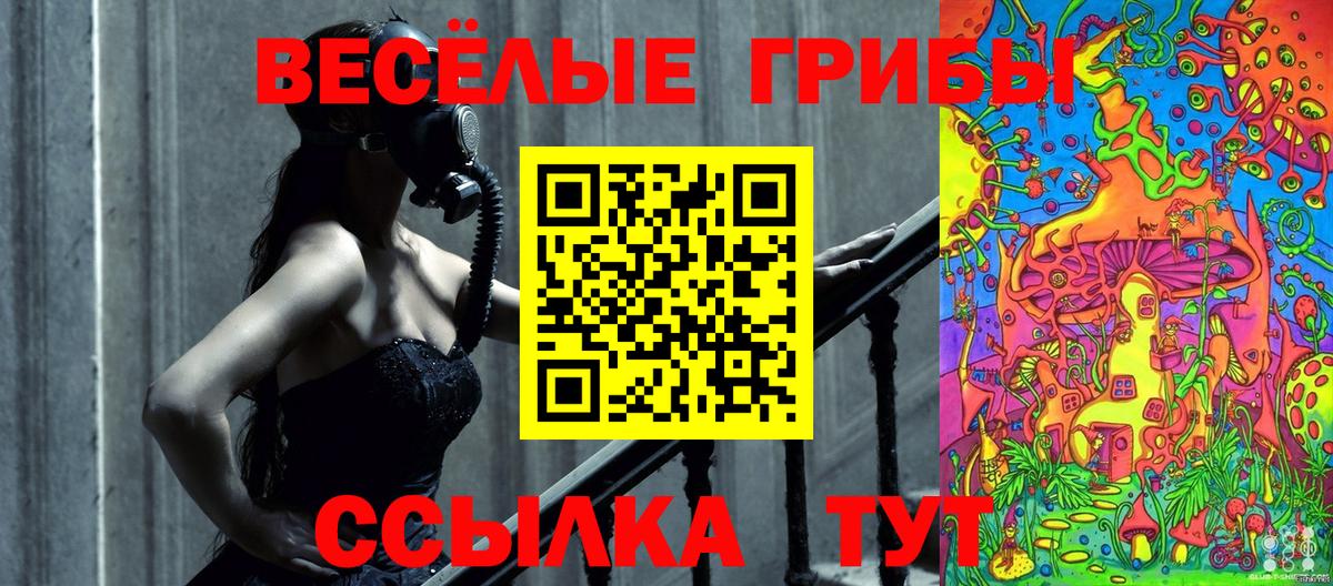 Псилоцибиновые грибы прущие грибы  купить наркотики цена  Моздок 