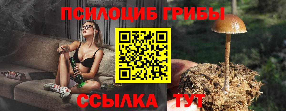 Галлюциногенные грибы прущие грибы Моздок