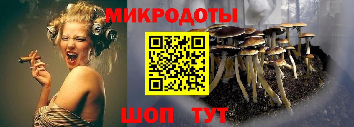 Моздок  Псилоцибиновые грибы Psilocybe  Вход с VPN 